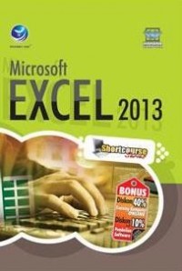 Microsoft excel 2013