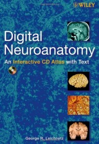 Digital neuroanatomy: an interactive cd atlas with text