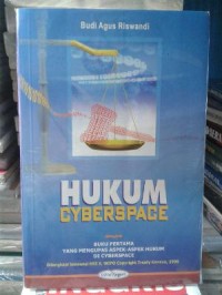 Hukum cyberspace