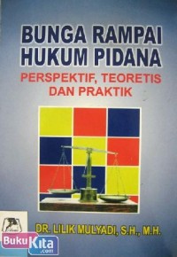 Bunga rampai hukum pidana : perpektif, teoritis dan praktis