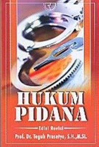 Hukum pidana : edisi revisi