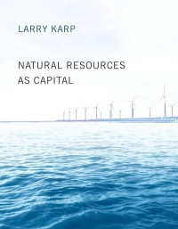 Natural resources as capital