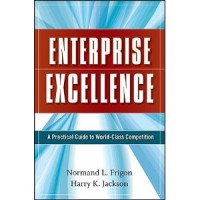 Enterprise excellence : a practical guide to world-class competition