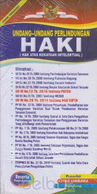 Undang-undang perlindungan HAKI (hak atas kekayaan intelektual)