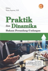 Praktik dan dinamika hukum perundang-undangan