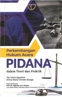 Perkembangan hukum acara pidana dalam teori dan praktik